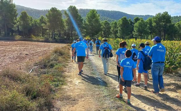 M S De Voluntarios Se Movilizan En La Semana Social De Caixabank En